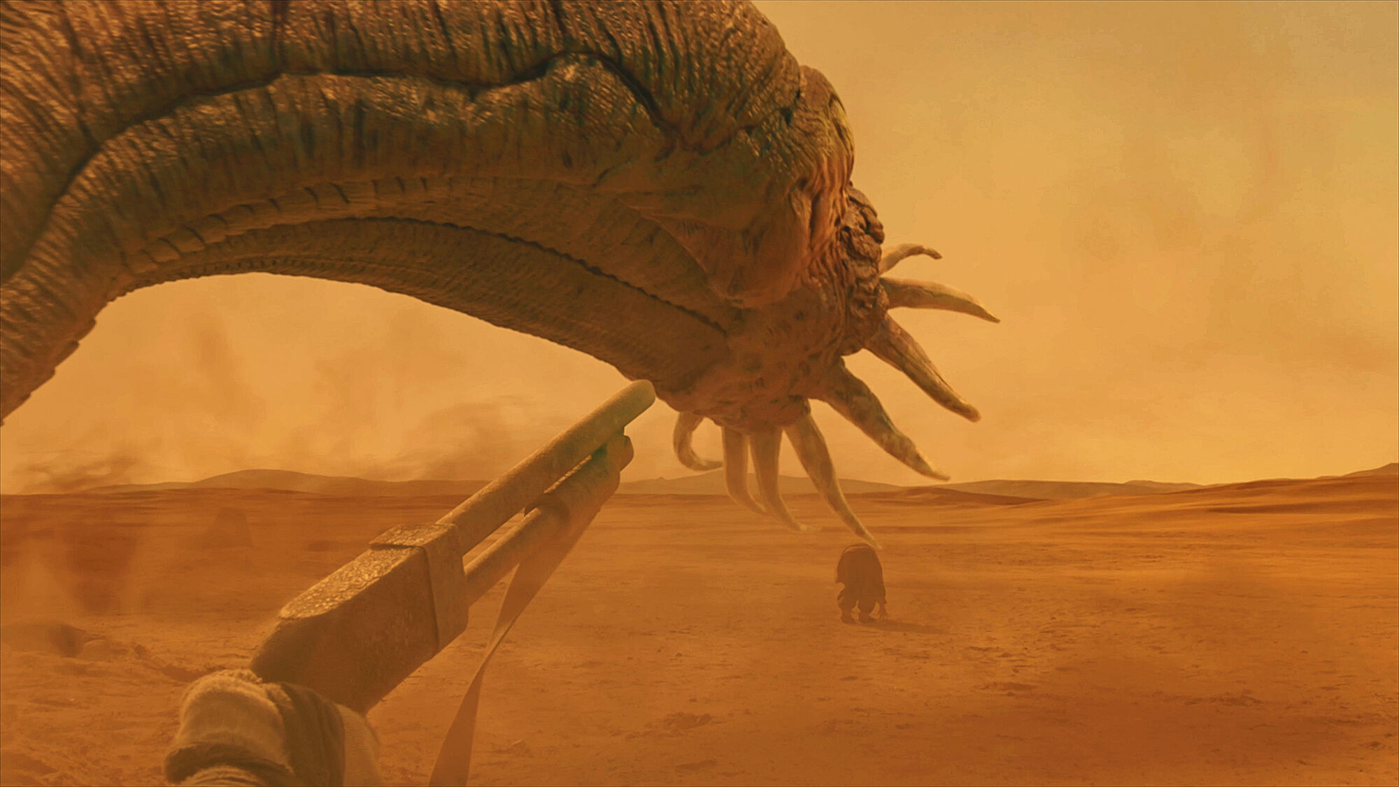 Scene Image 4