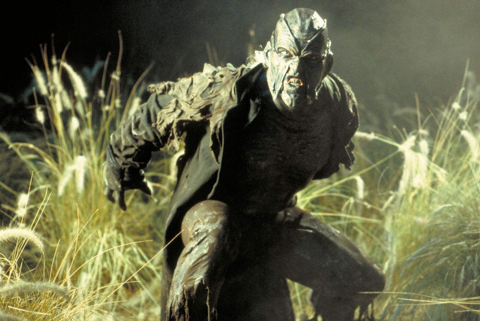 Scene Image 2