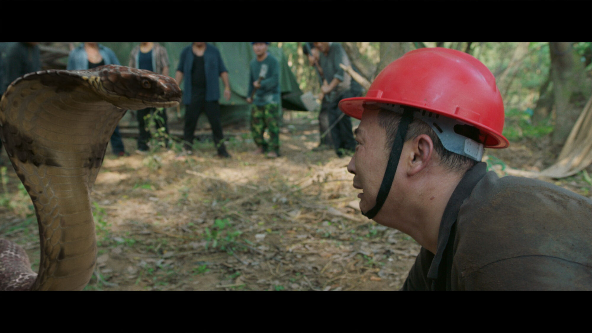 Scene Image 6
