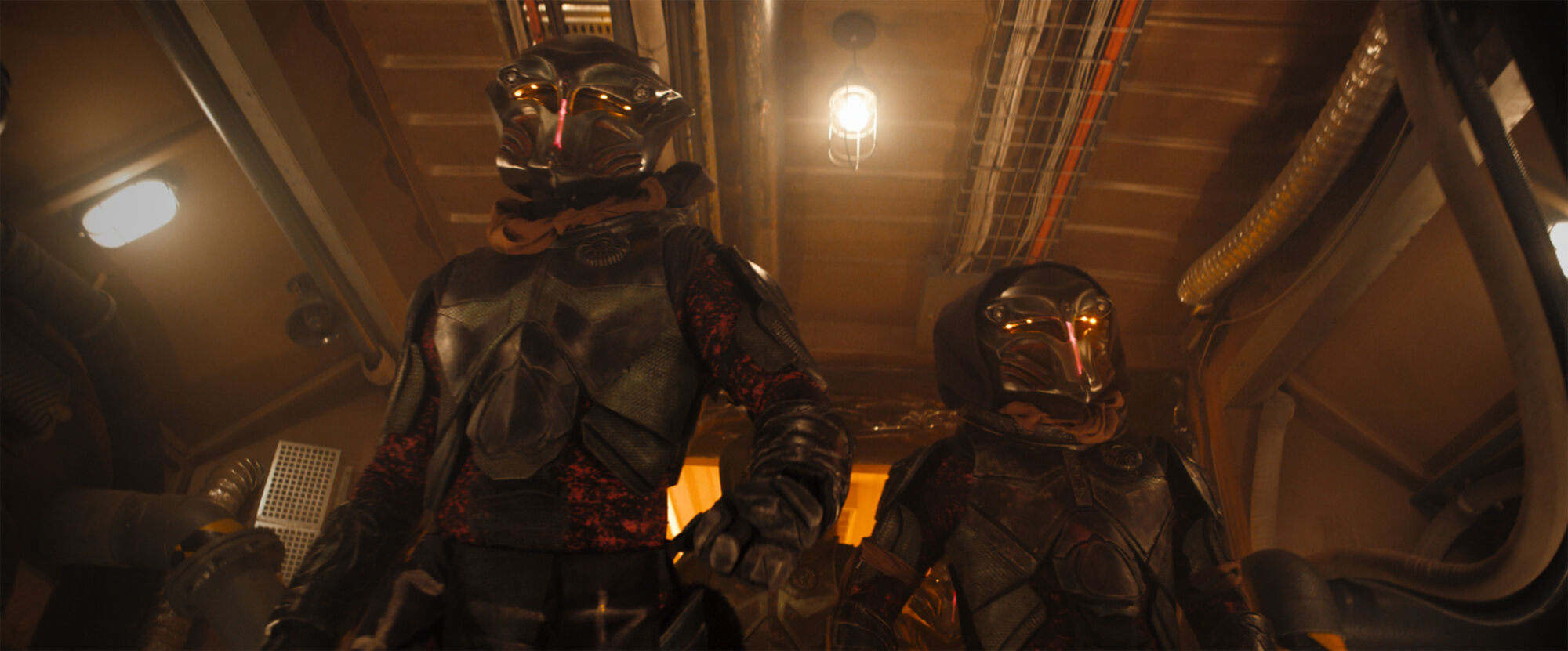 Scene Image 4