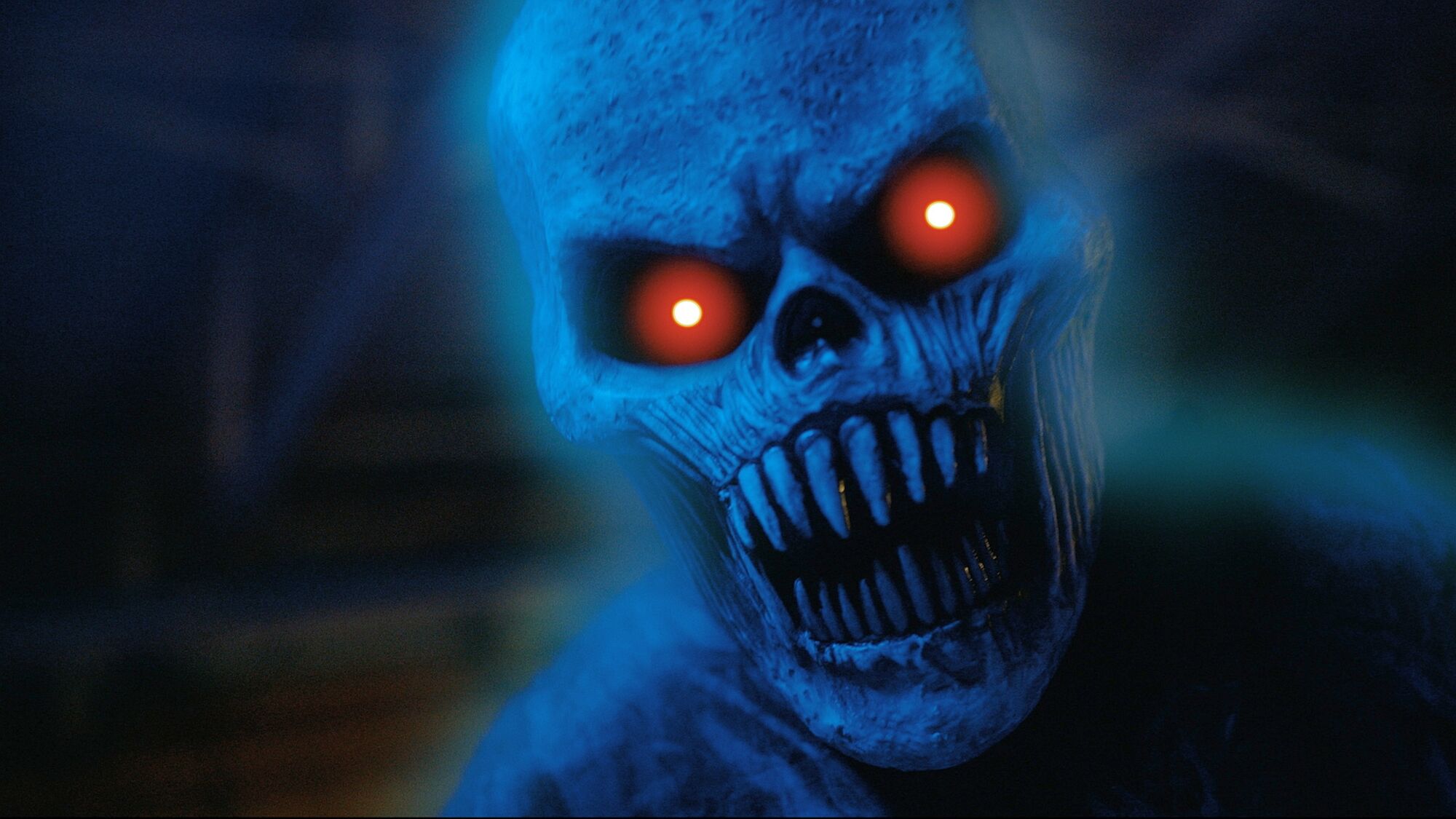 Scene Image 7