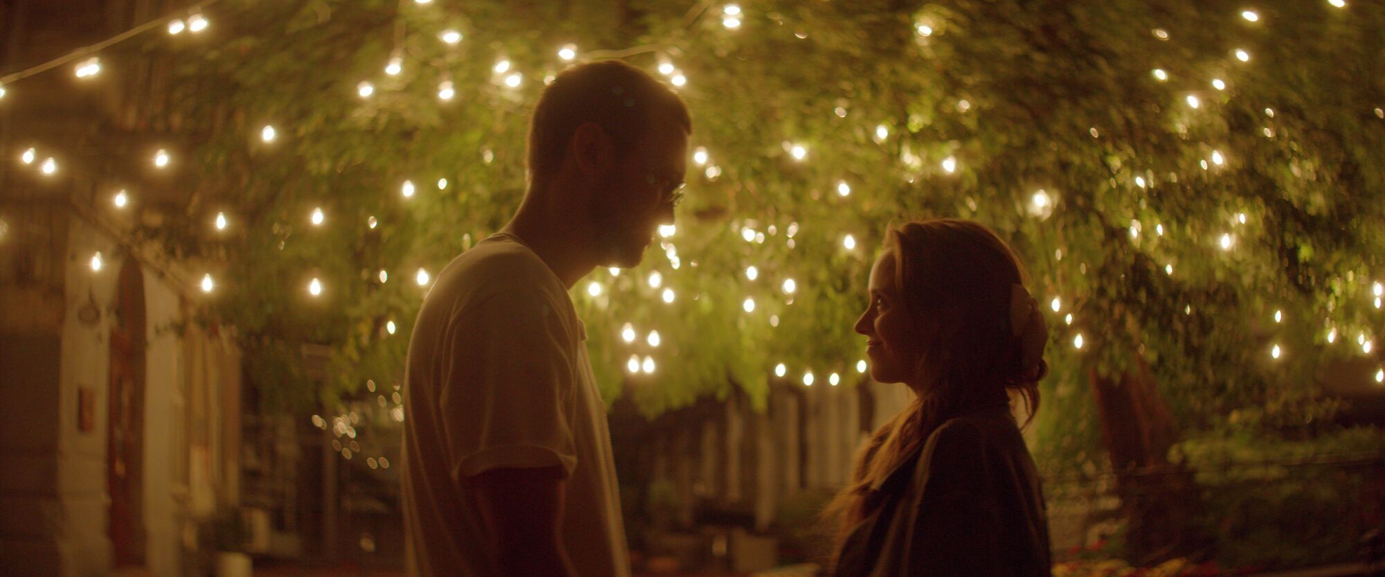 Scene Image 8