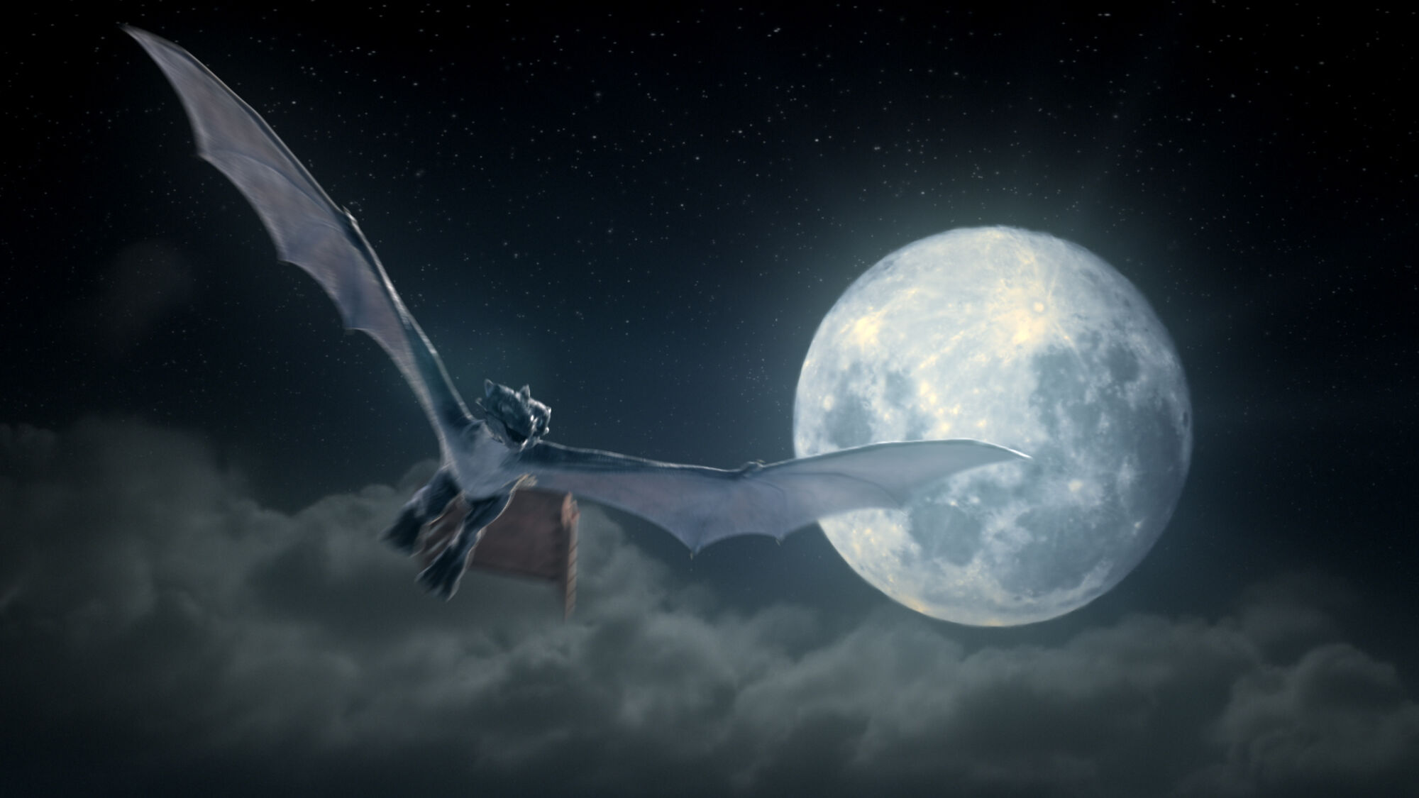 Scene Image 1