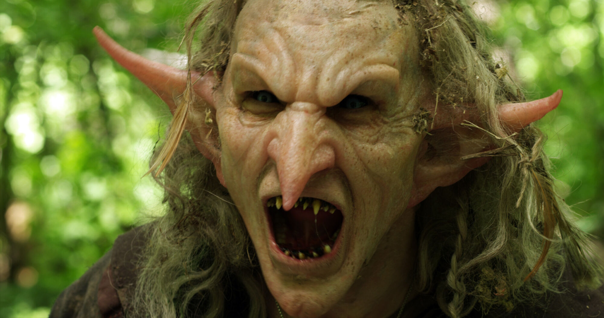 Scene Image 3