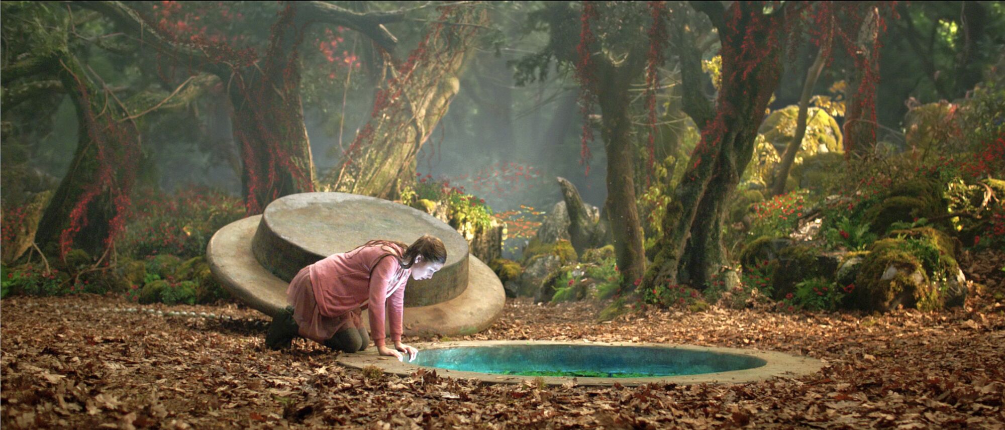 Scene Image 4
